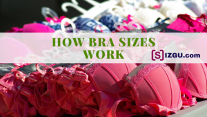 How Bra Sizes Work