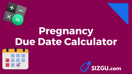 Pregnancy Due Date Calculator