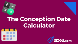 The Conception Date Calculator
